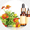 Hairfall Treatment